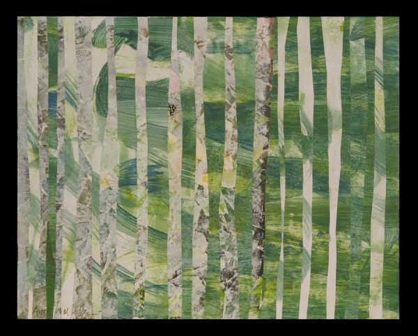 Birch Forest